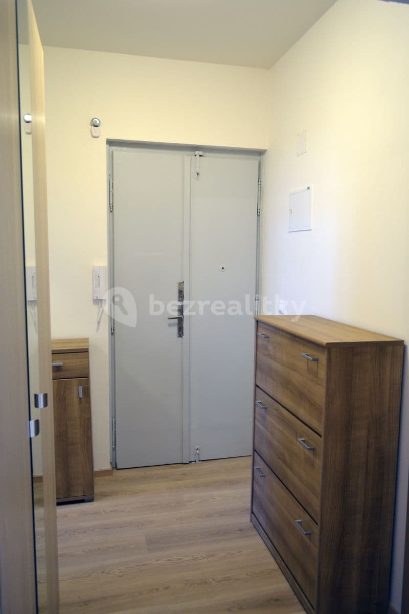 1 bedroom with open-plan kitchen flat to rent, 49 m², Březinova, Prague, Prague 1 bedroom with open-plan kitchen flat to rent, 49 m², Březinova, Prague, Prague