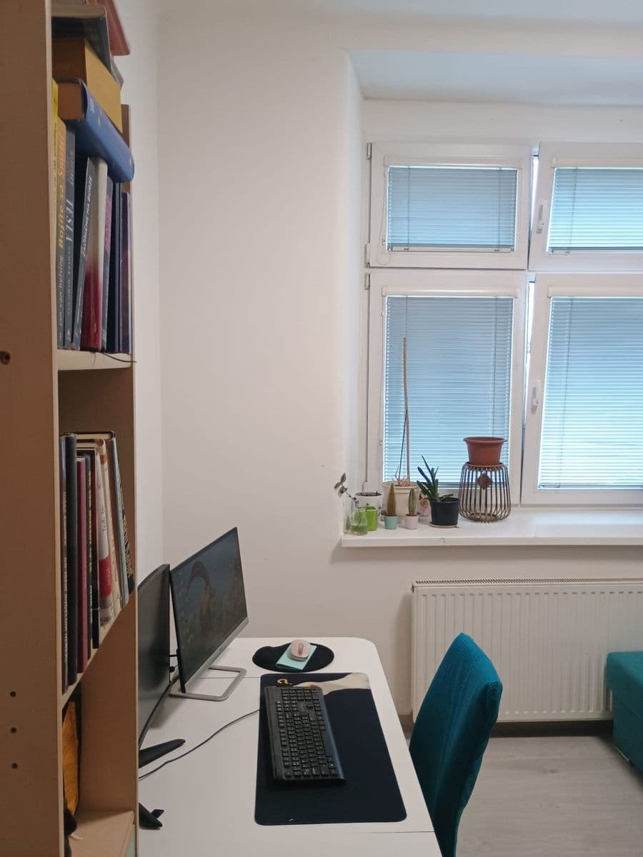 1 bedroom with open-plan kitchen flat to rent, 45 m², U Pergamenky, Prague, Prague 1 bedroom with open-plan kitchen flat to rent, 45 m², U Pergamenky, Prague, Prague