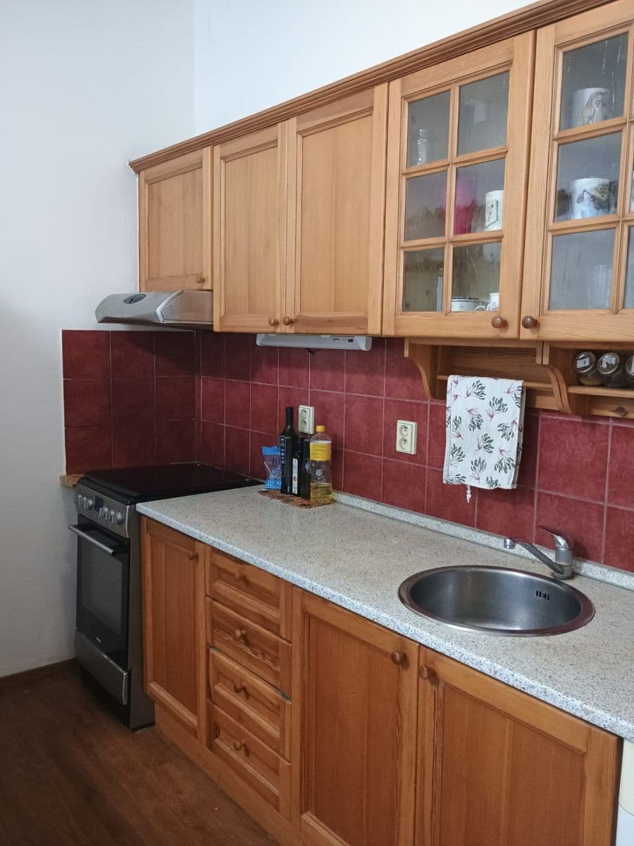 1 bedroom with open-plan kitchen flat to rent, 45 m², U Pergamenky, Prague, Prague 1 bedroom with open-plan kitchen flat to rent, 45 m², U Pergamenky, Prague, Prague