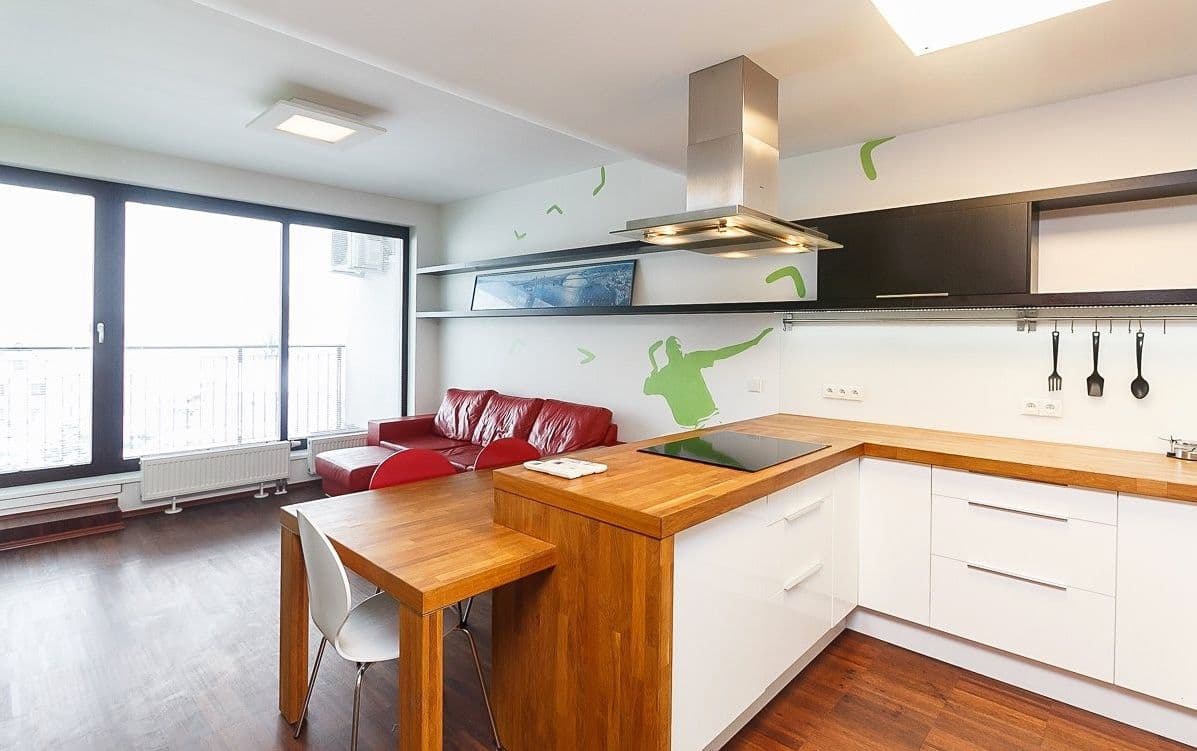 1 bedroom with open-plan kitchen flat to rent, 65 m², Prague, Prague 1 bedroom with open-plan kitchen flat to rent, 65 m², Prague, Prague
