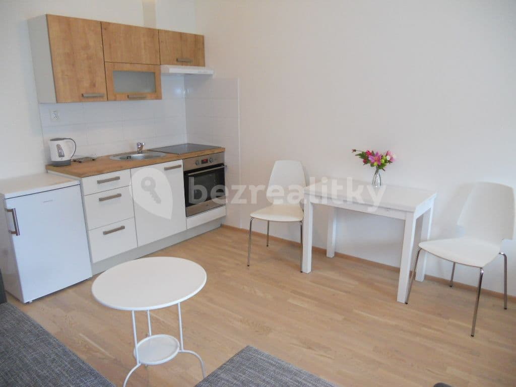 Studio flat to rent, 28 m², Olšanská, Prague, Prague Studio flat to rent, 28 m², Olšanská, Prague, Prague