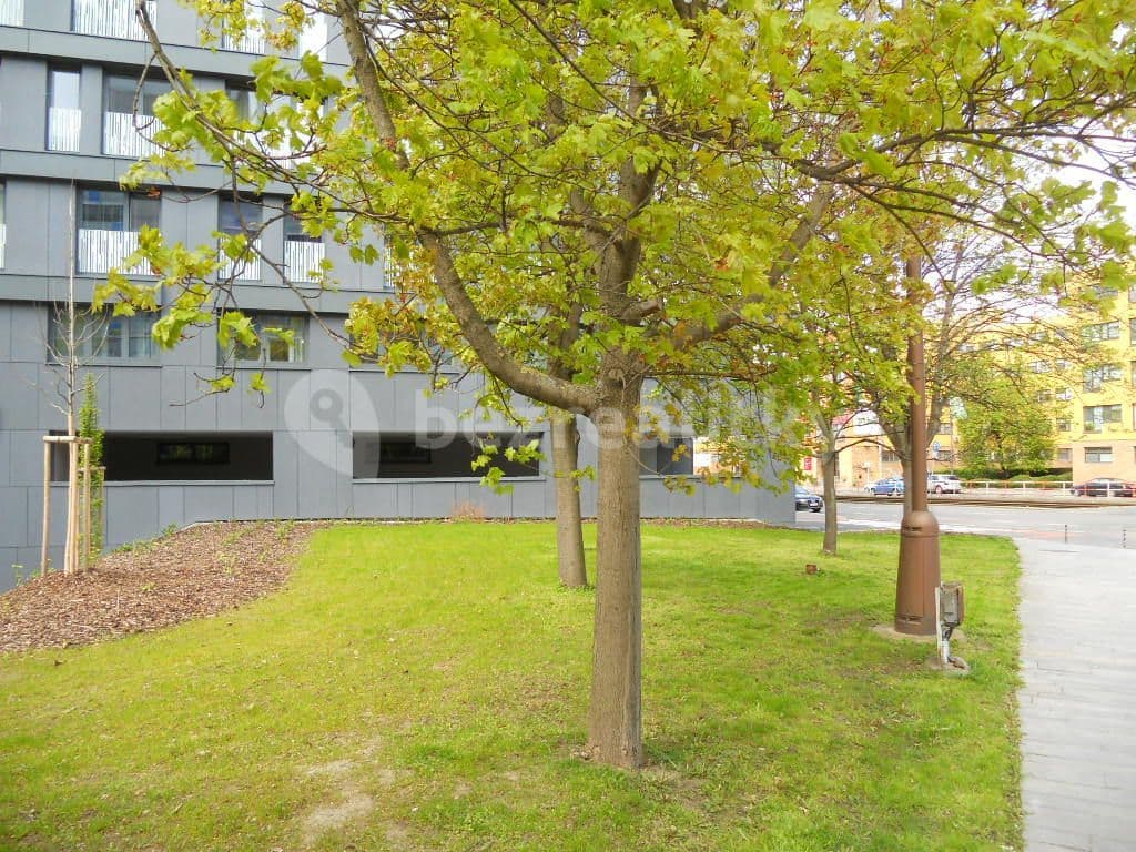 Studio flat to rent, 28 m², Olšanská, Prague, Prague Studio flat to rent, 28 m², Olšanská, Prague, Prague