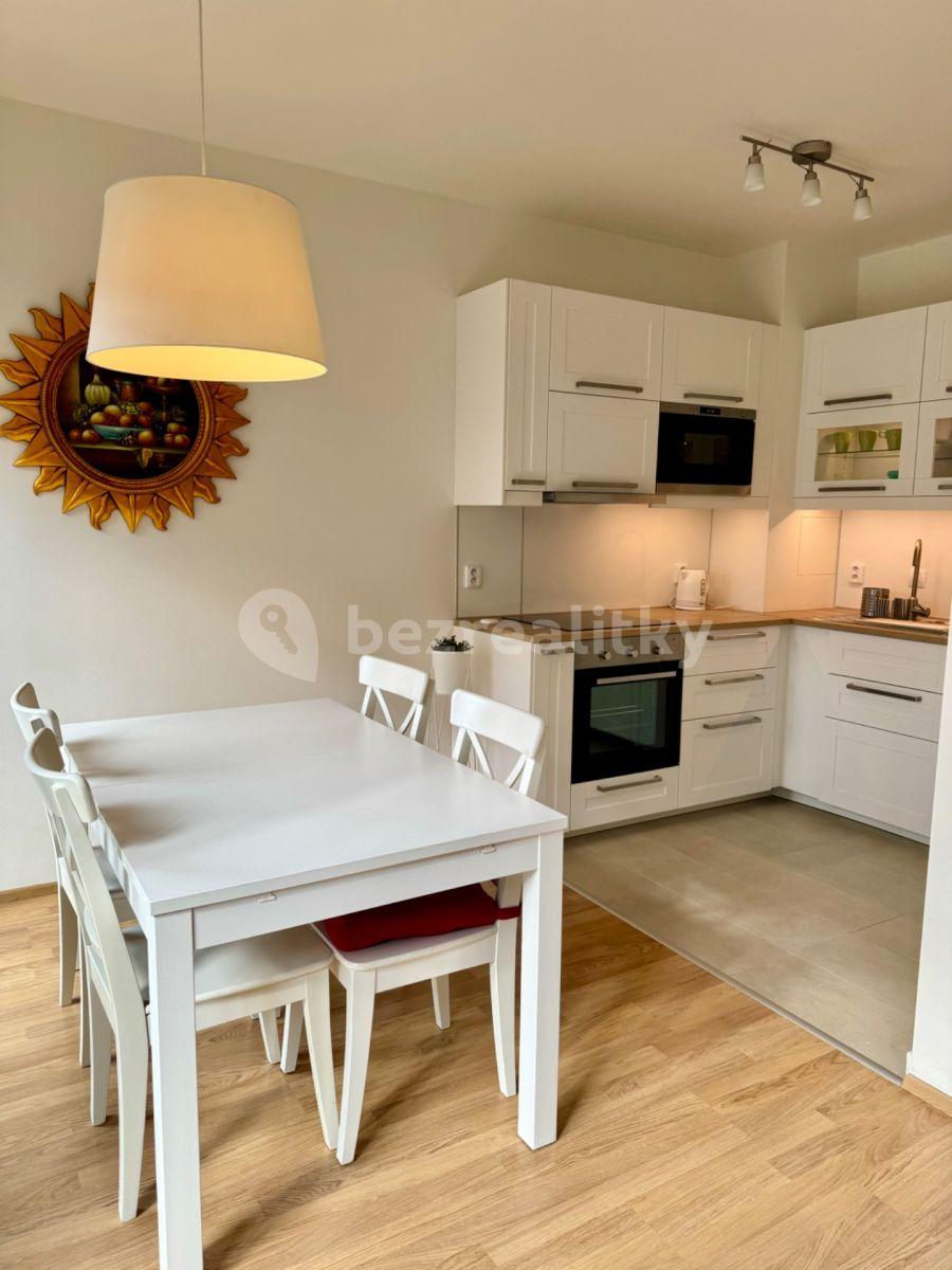 1 bedroom with open-plan kitchen flat to rent, 63 m², Na Zlatě, Prague, Prague