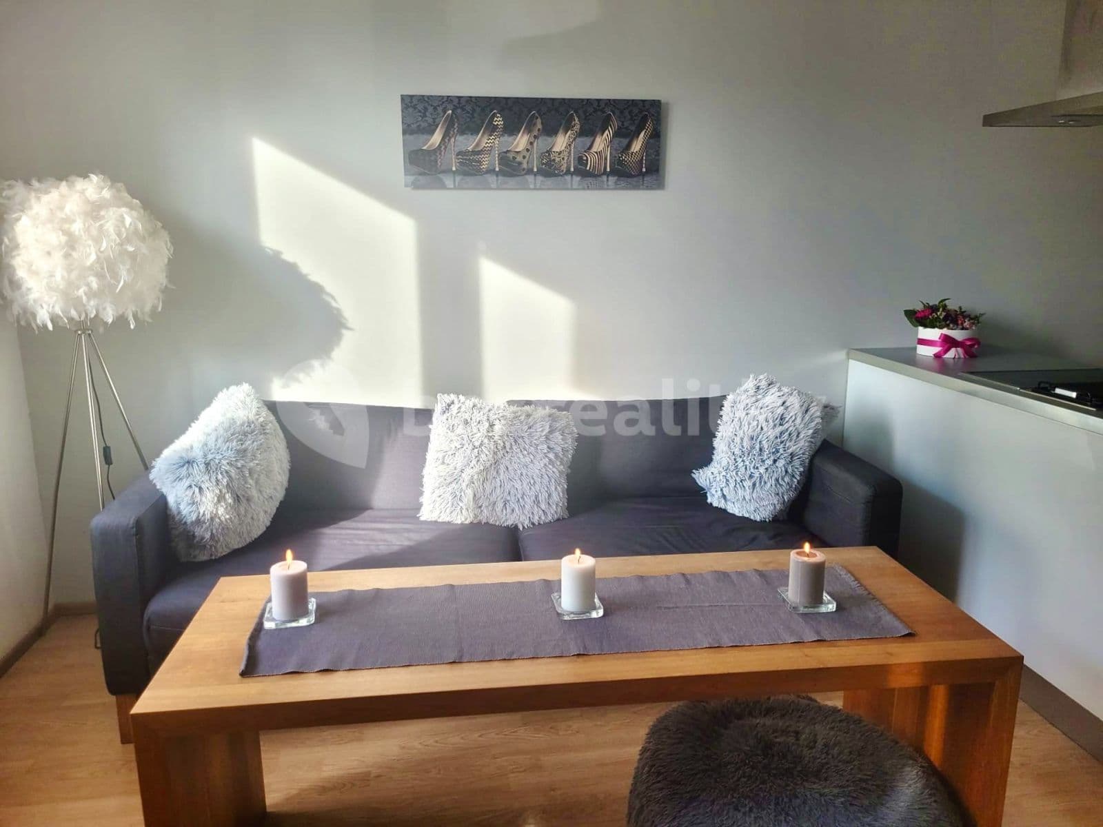 1 bedroom with open-plan kitchen flat to rent, 41 m², Mattioliho, Prague, Prague 1 bedroom with open-plan kitchen flat to rent, 41 m², Mattioliho, Prague, Prague