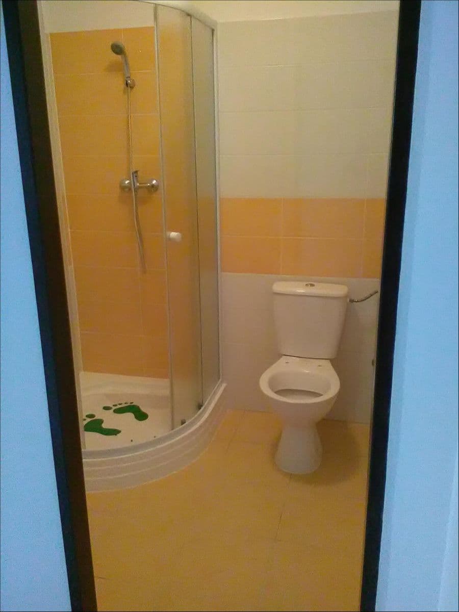 Small studio flat to rent, 30 m², Bystřice, Středočeský Region Small studio flat to rent, 30 m², Bystřice, Středočeský Region