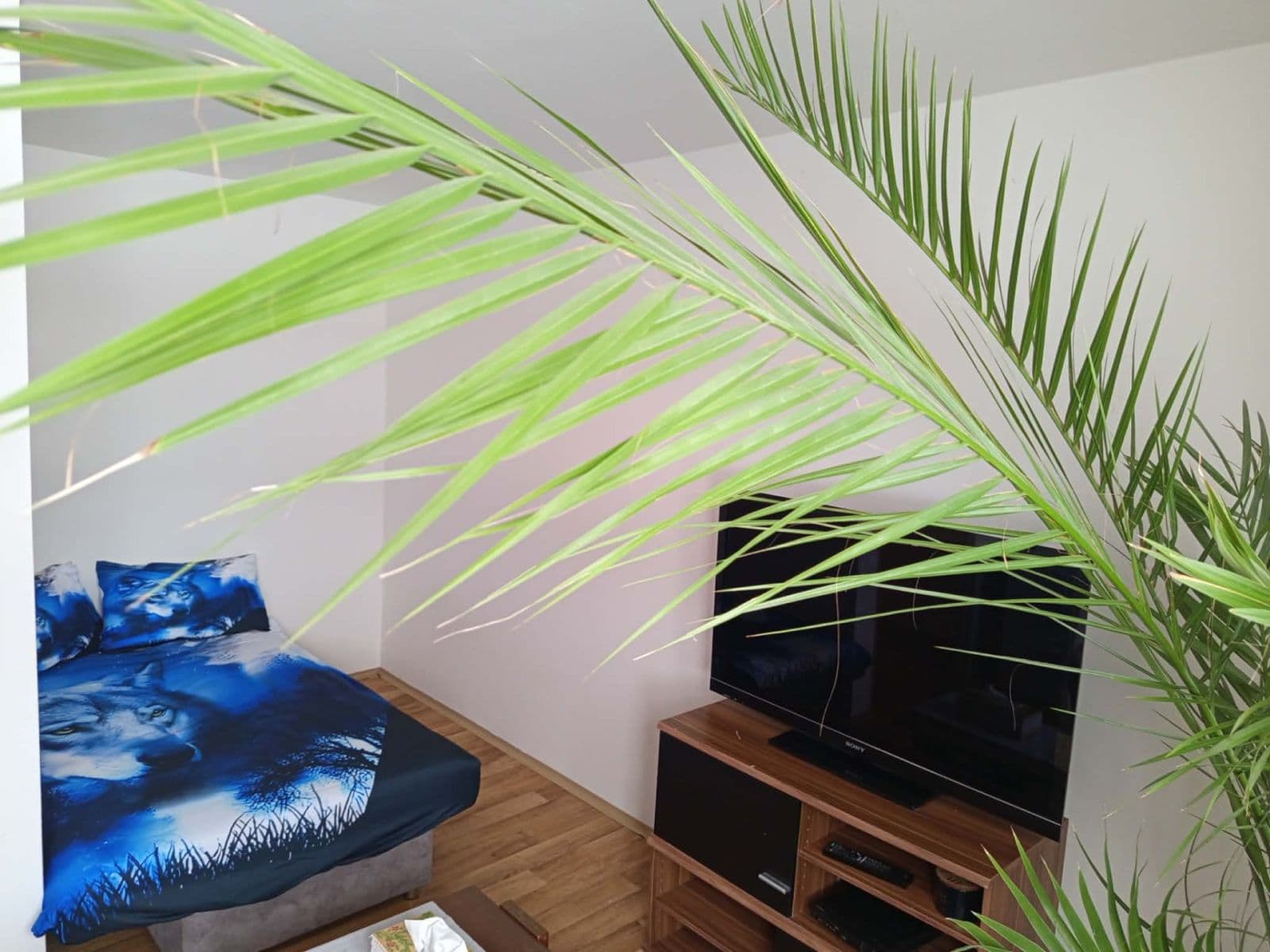 Small studio flat to rent, 30 m², Bystřice, Středočeský Region Small studio flat to rent, 30 m², Bystřice, Středočeský Region