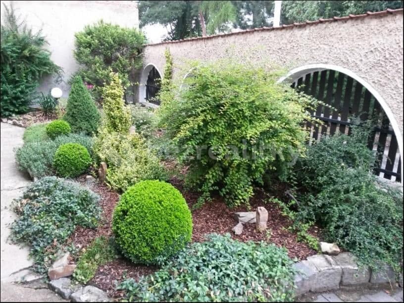 3 bedroom with open-plan kitchen flat to rent, 66 m², U Schodů, Prague, Prague 3 bedroom with open-plan kitchen flat to rent, 66 m², U Schodů, Prague, Prague