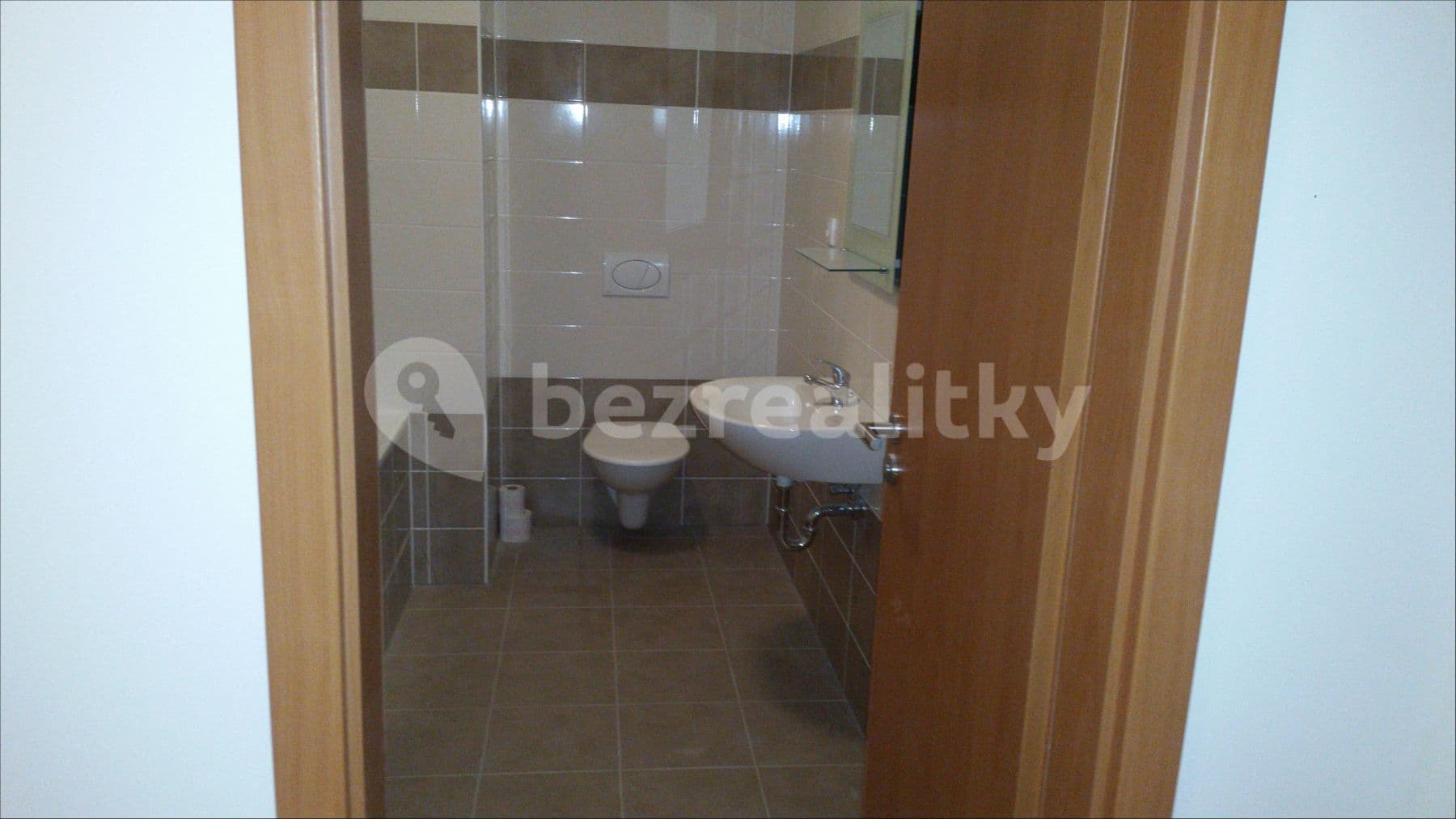 1 bedroom with open-plan kitchen flat to rent, 61 m², Soukalova, Prague, Prague 1 bedroom with open-plan kitchen flat to rent, 61 m², Soukalova, Prague, Prague
