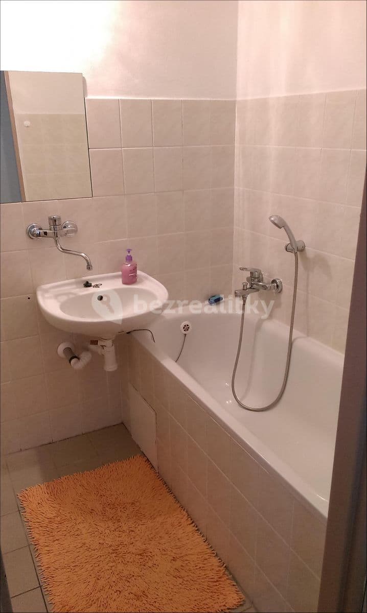 1 bedroom with open-plan kitchen flat to rent, 57 m², Pod Zámečkem, Hradec Králové, Královéhradecký Region 1 bedroom with open-plan kitchen flat to rent, 57 m², Pod Zámečkem, Hradec Králové, Královéhradecký Region