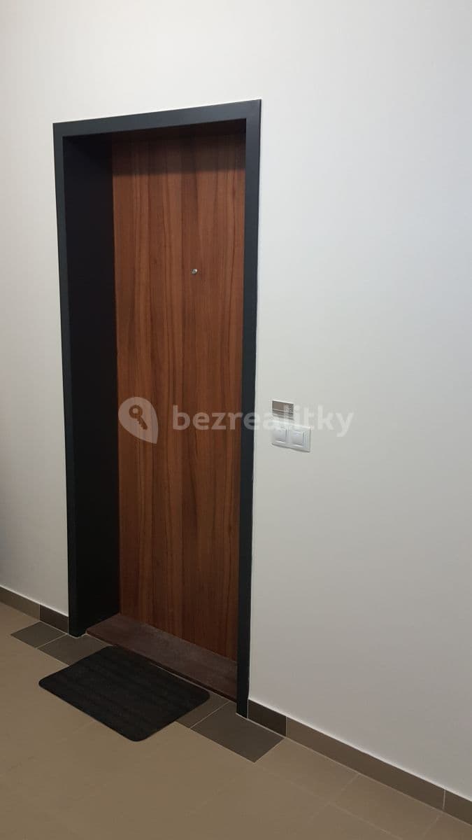 1 bedroom with open-plan kitchen flat to rent, 63 m², Na zlatě, Prague, Prague 1 bedroom with open-plan kitchen flat to rent, 63 m², Na zlatě, Prague, Prague