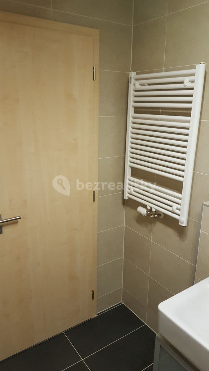 1 bedroom with open-plan kitchen flat to rent, 63 m², Na zlatě, Prague, Prague 1 bedroom with open-plan kitchen flat to rent, 63 m², Na zlatě, Prague, Prague