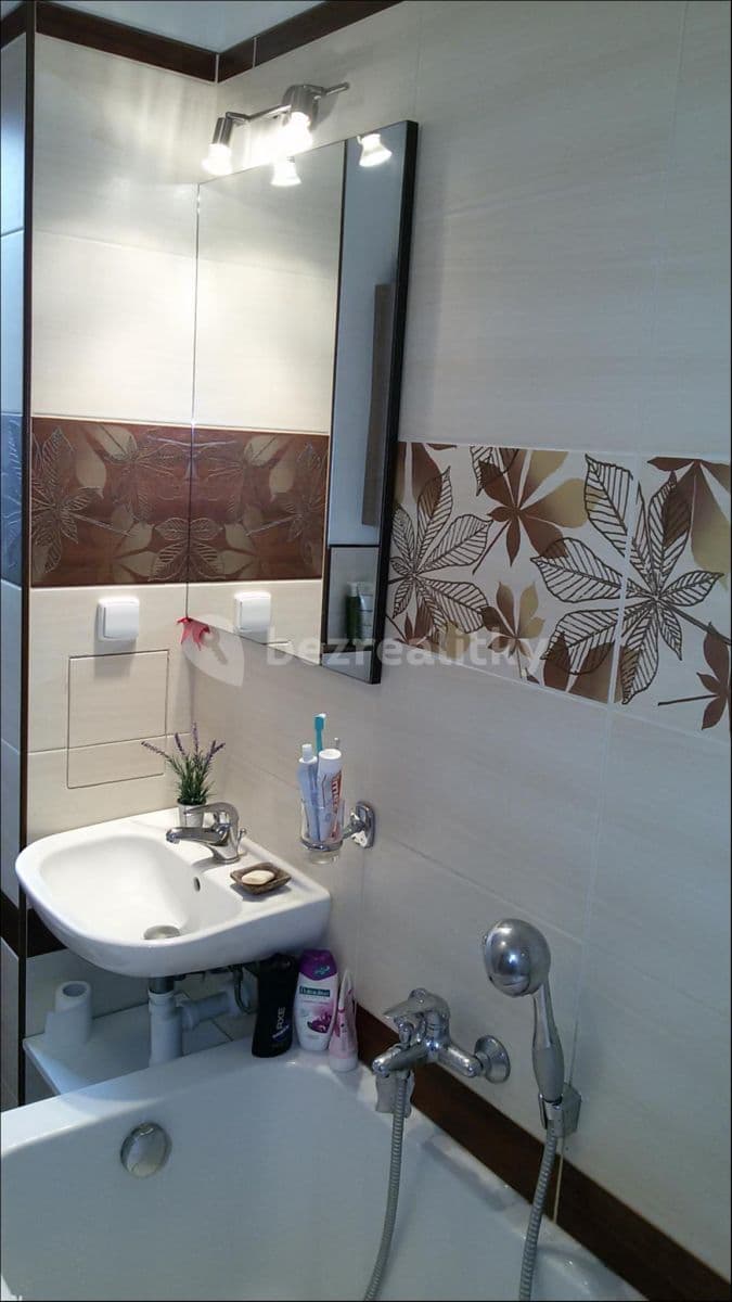 1 bedroom with open-plan kitchen flat to rent, 45 m², Ve Struhách, Prague, Prague 1 bedroom with open-plan kitchen flat to rent, 45 m², Ve Struhách, Prague, Prague