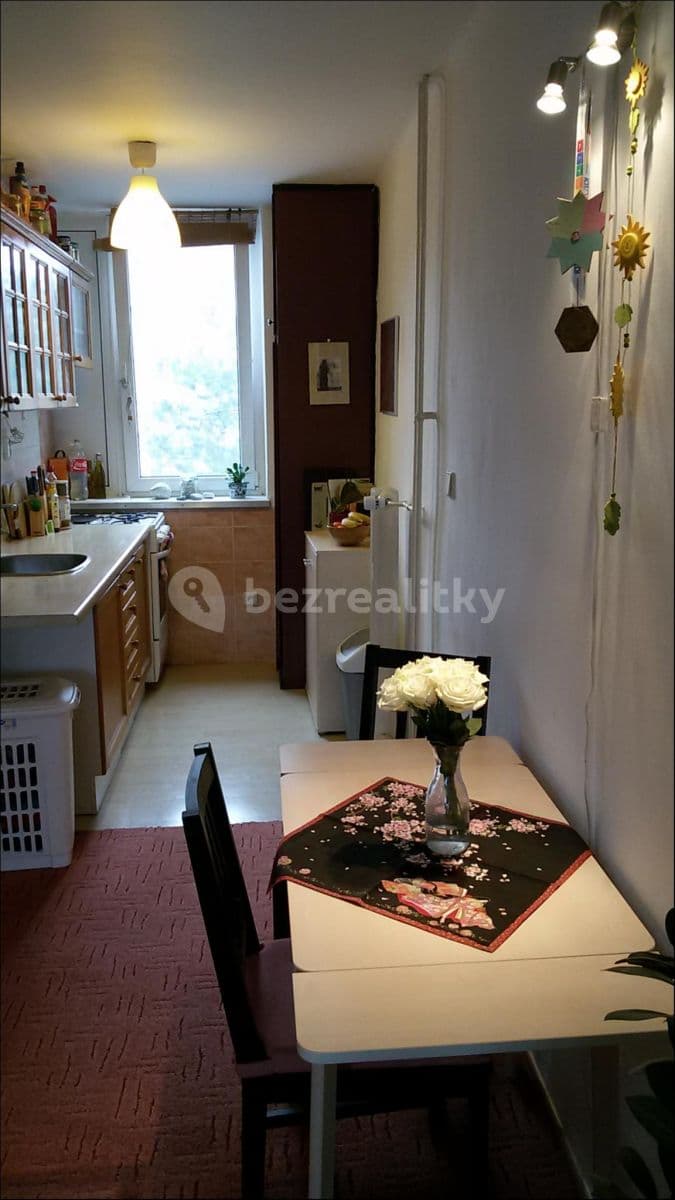 1 bedroom with open-plan kitchen flat to rent, 45 m², Ve Struhách, Prague, Prague 1 bedroom with open-plan kitchen flat to rent, 45 m², Ve Struhách, Prague, Prague