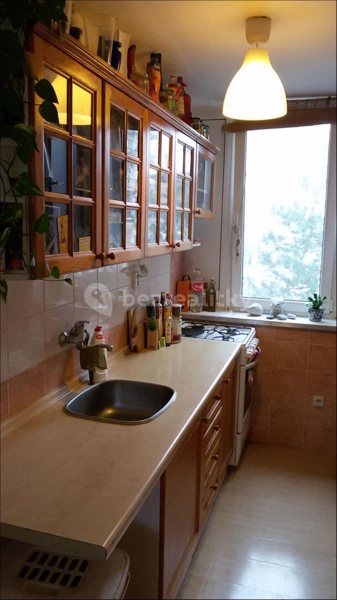 1 bedroom with open-plan kitchen flat to rent, 45 m², Ve Struhách, Prague, Prague 1 bedroom with open-plan kitchen flat to rent, 45 m², Ve Struhách, Prague, Prague