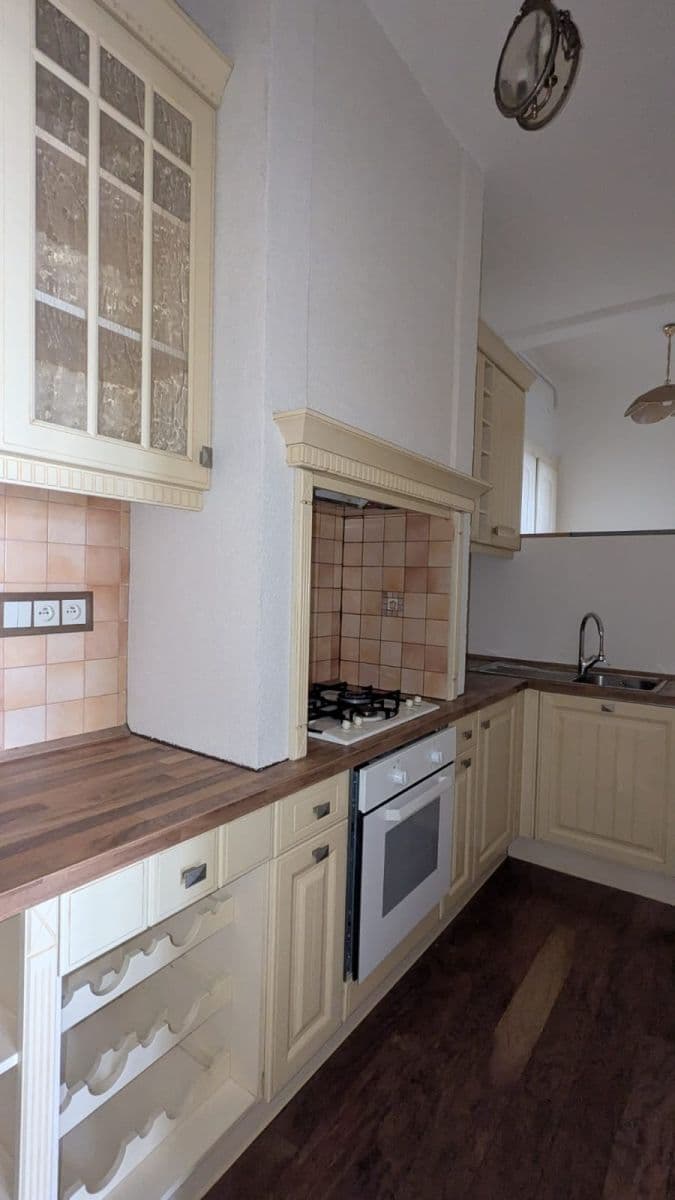 1 bedroom with open-plan kitchen flat to rent, 62 m², Kubelíkova, Prague, Prague 1 bedroom with open-plan kitchen flat to rent, 62 m², Kubelíkova, Prague, Prague