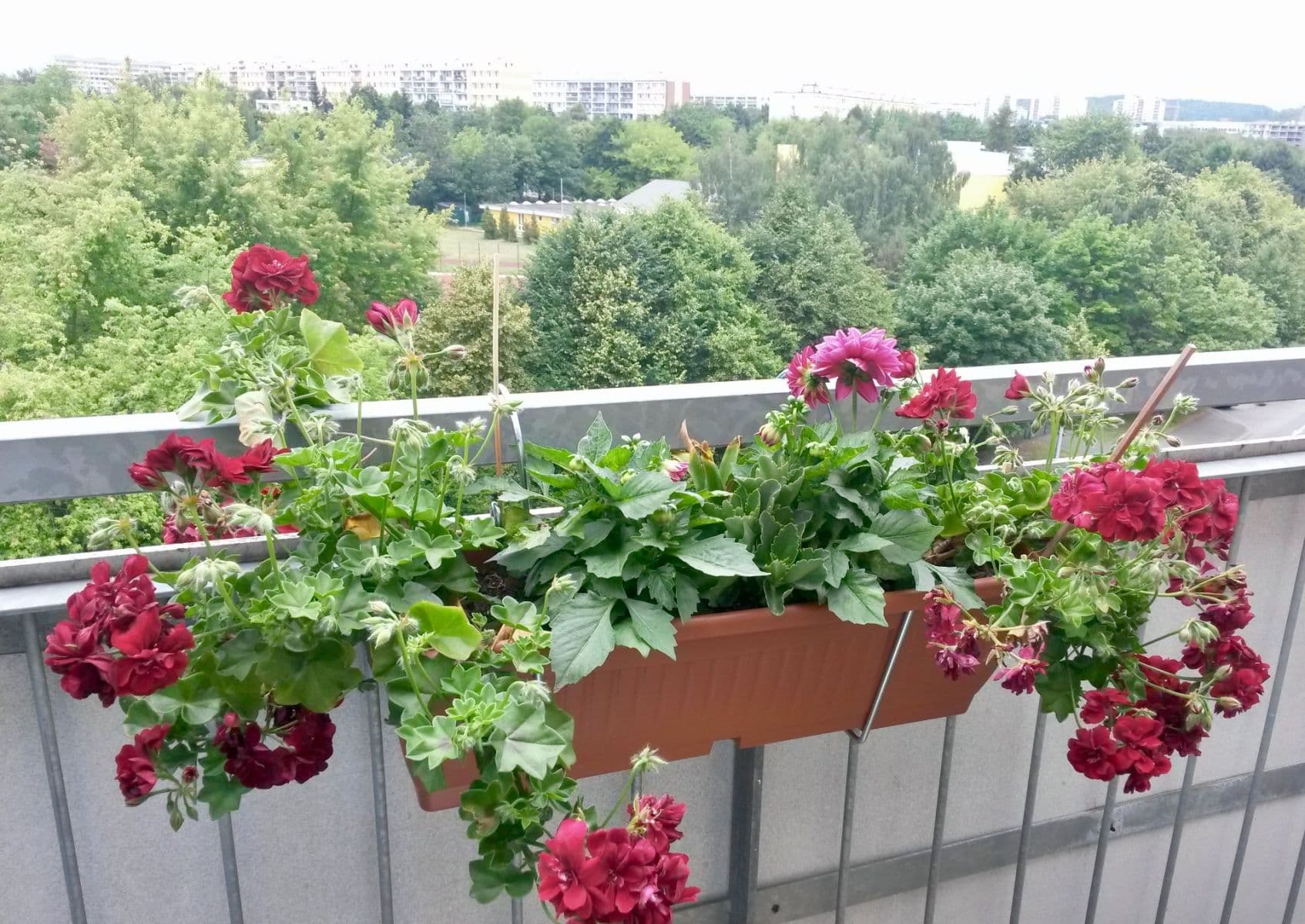 1 bedroom with open-plan kitchen flat to rent, 53 m², Zlonická, Prague, Prague 1 bedroom with open-plan kitchen flat to rent, 53 m², Zlonická, Prague, Prague