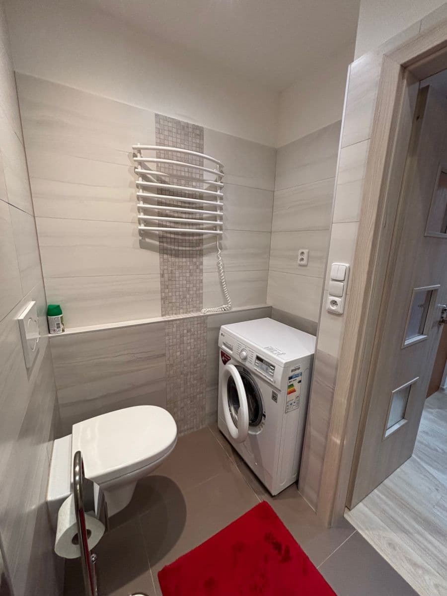 1 bedroom with open-plan kitchen flat to rent, 48 m², Brichtova, Prague, Prague 1 bedroom with open-plan kitchen flat to rent, 48 m², Brichtova, Prague, Prague