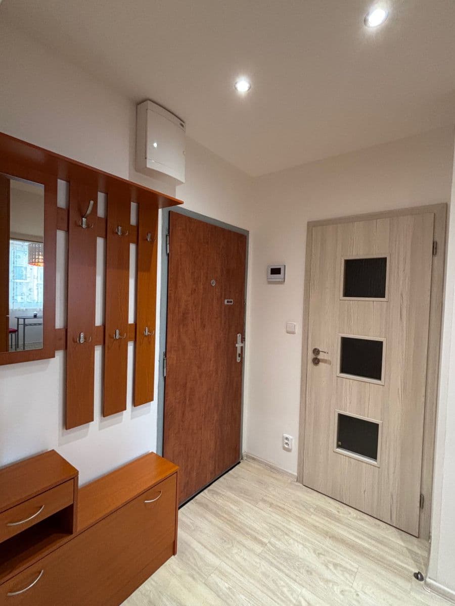 1 bedroom with open-plan kitchen flat to rent, 48 m², Brichtova, Prague, Prague 1 bedroom with open-plan kitchen flat to rent, 48 m², Brichtova, Prague, Prague