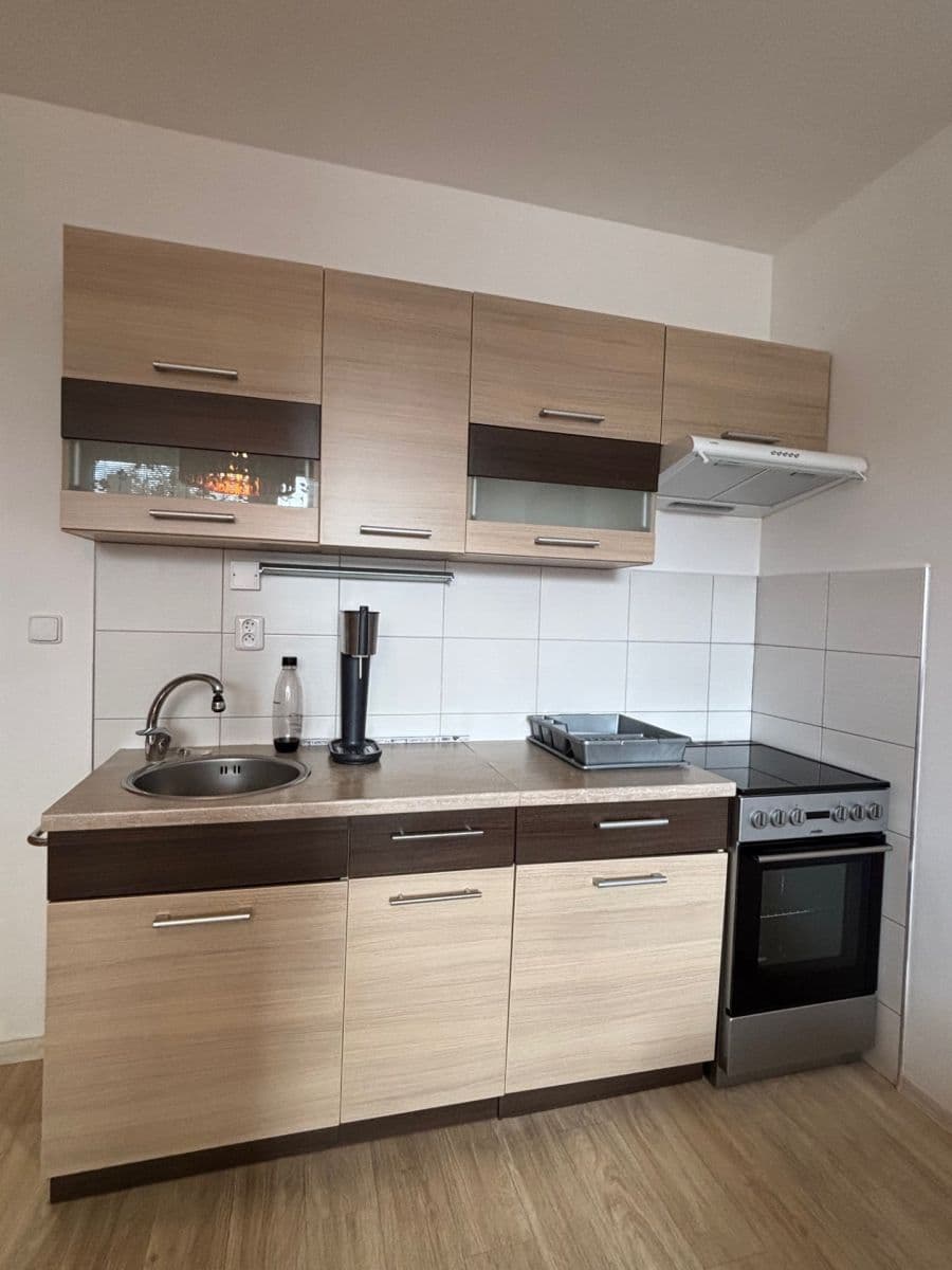 1 bedroom with open-plan kitchen flat to rent, 48 m², Brichtova, Prague, Prague 1 bedroom with open-plan kitchen flat to rent, 48 m², Brichtova, Prague, Prague