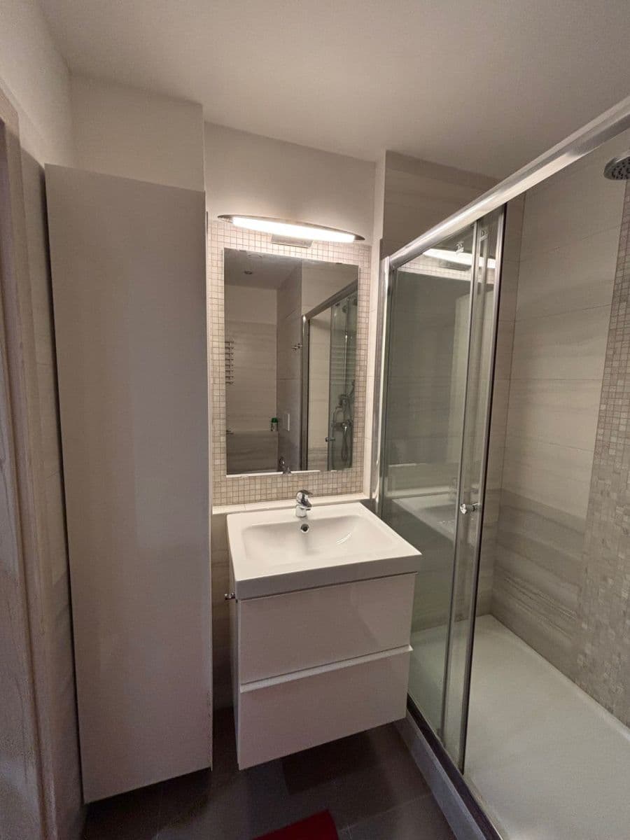 1 bedroom with open-plan kitchen flat to rent, 48 m², Brichtova, Prague, Prague 1 bedroom with open-plan kitchen flat to rent, 48 m², Brichtova, Prague, Prague