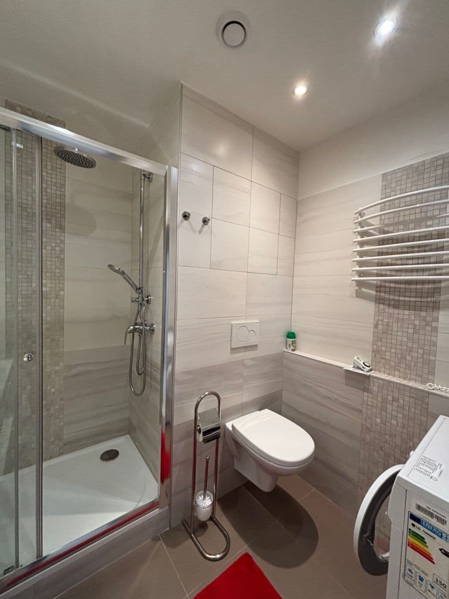 1 bedroom with open-plan kitchen flat to rent, 48 m², Brichtova, Prague, Prague 1 bedroom with open-plan kitchen flat to rent, 48 m², Brichtova, Prague, Prague