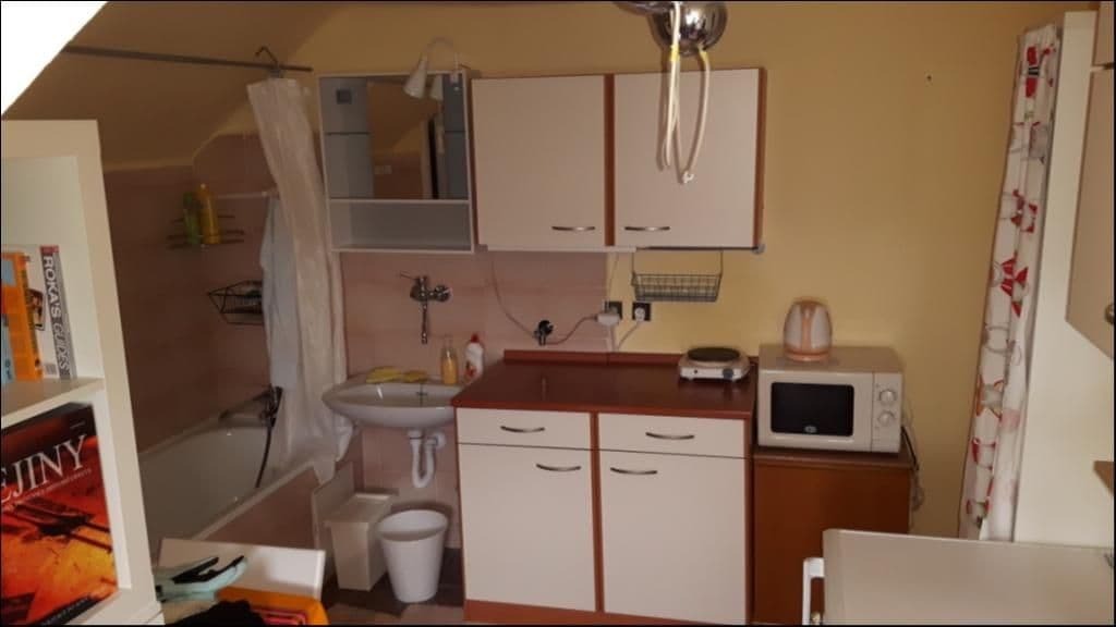 Small studio flat to rent, 22 m², Edisonova, Prague, Prague Small studio flat to rent, 22 m², Edisonova, Prague, Prague