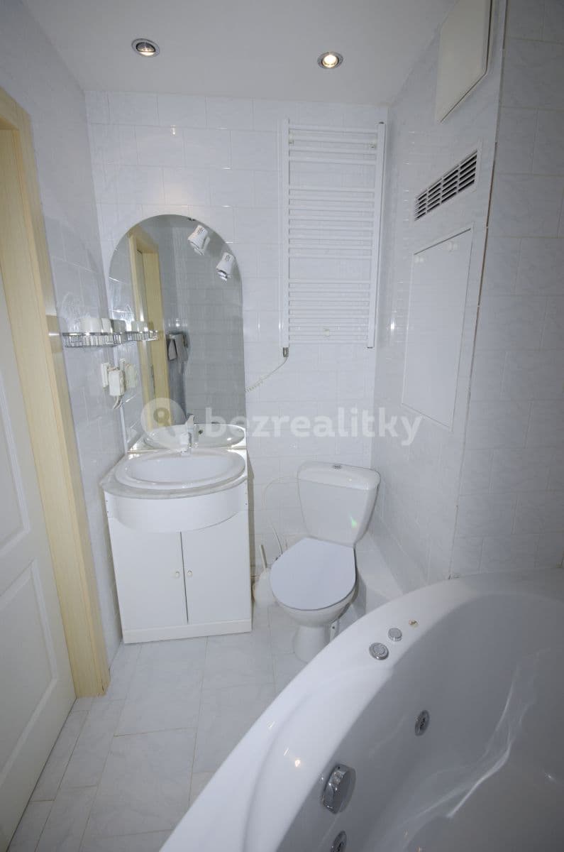 1 bedroom with open-plan kitchen flat to rent, 40 m², Molákova, Prague, Prague 1 bedroom with open-plan kitchen flat to rent, 40 m², Molákova, Prague, Prague