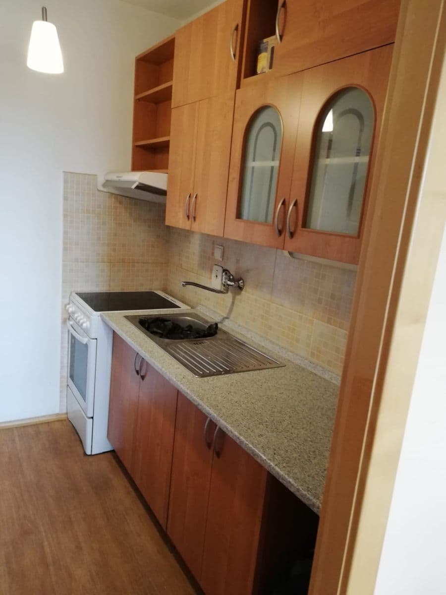1 bedroom with open-plan kitchen flat to rent, 46 m², Bojasova, Prague, Prague 1 bedroom with open-plan kitchen flat to rent, 46 m², Bojasova, Prague, Prague