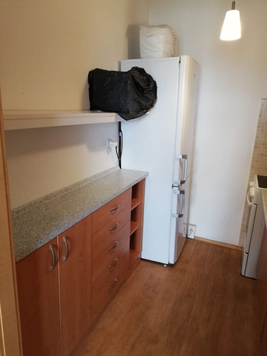 1 bedroom with open-plan kitchen flat to rent, 46 m², Bojasova, Prague, Prague 1 bedroom with open-plan kitchen flat to rent, 46 m², Bojasova, Prague, Prague