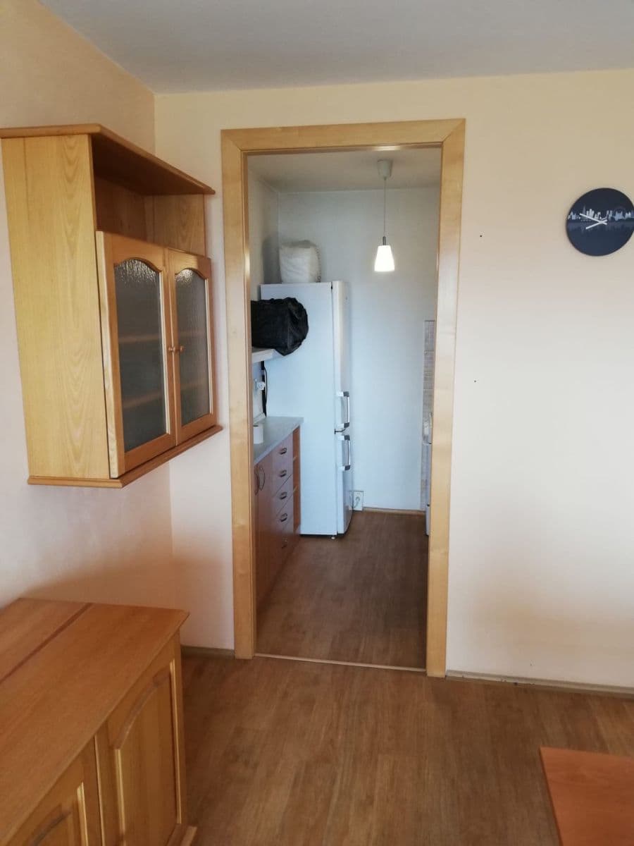1 bedroom with open-plan kitchen flat to rent, 46 m², Bojasova, Prague, Prague 1 bedroom with open-plan kitchen flat to rent, 46 m², Bojasova, Prague, Prague