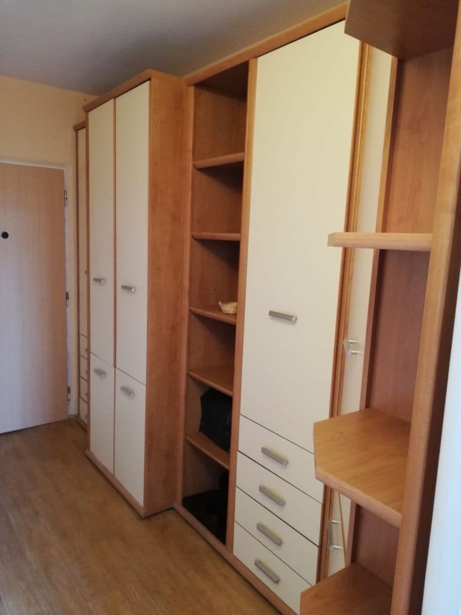 1 bedroom with open-plan kitchen flat to rent, 46 m², Bojasova, Prague, Prague 1 bedroom with open-plan kitchen flat to rent, 46 m², Bojasova, Prague, Prague