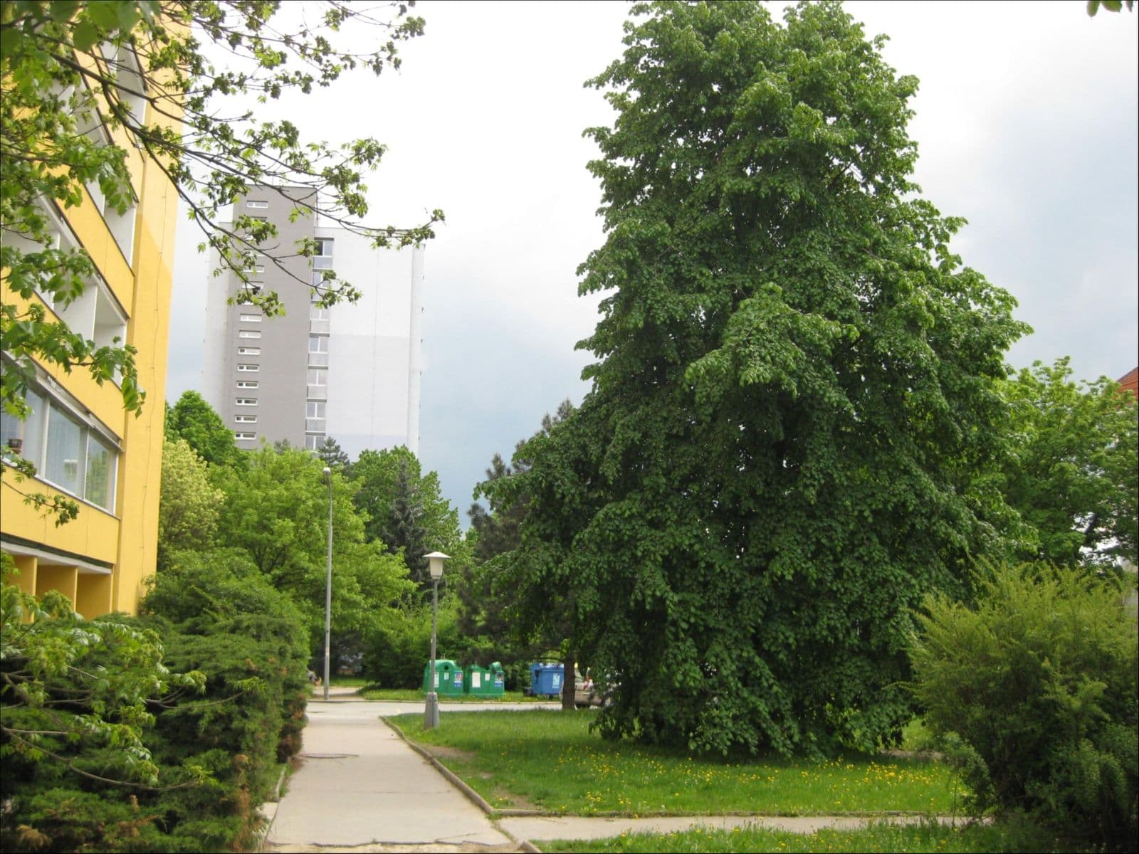 Studio flat to rent, 27 m², Voroněžská, Brno, Jihomoravský Region Studio flat to rent, 27 m², Voroněžská, Brno, Jihomoravský Region