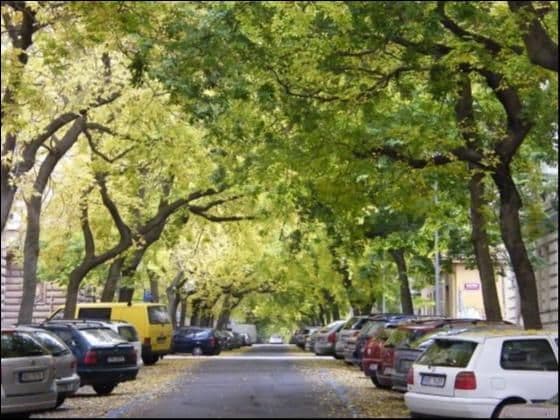 1 bedroom with open-plan kitchen flat to rent, 48 m², Lužická, Prague, Prague 1 bedroom with open-plan kitchen flat to rent, 48 m², Lužická, Prague, Prague