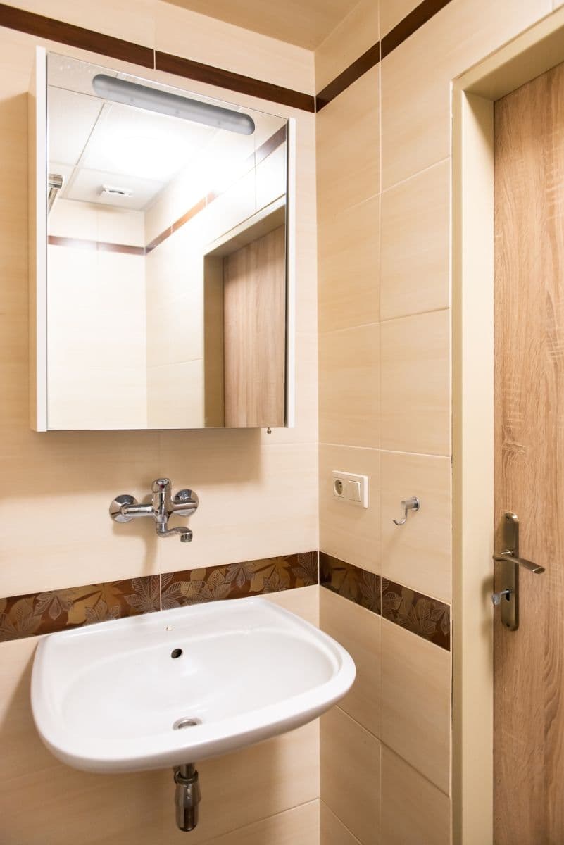 1 bedroom with open-plan kitchen flat to rent, 48 m², Lužická, Prague, Prague 1 bedroom with open-plan kitchen flat to rent, 48 m², Lužická, Prague, Prague