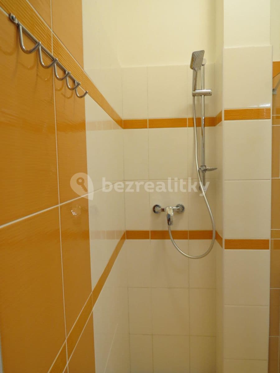 Small studio flat to rent, 28 m², Lublaňská, Prague, Prague Small studio flat to rent, 28 m², Lublaňská, Prague, Prague