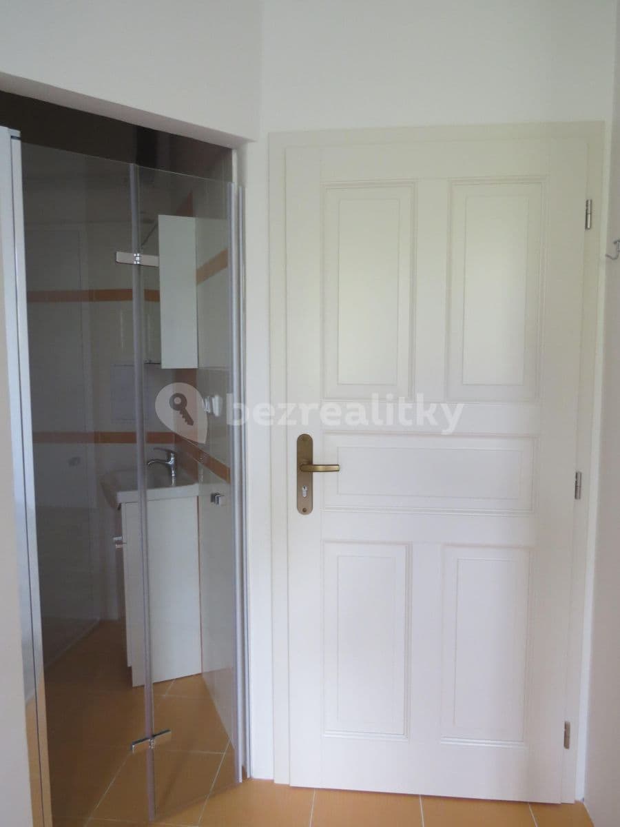 Small studio flat to rent, 28 m², Lublaňská, Prague, Prague Small studio flat to rent, 28 m², Lublaňská, Prague, Prague