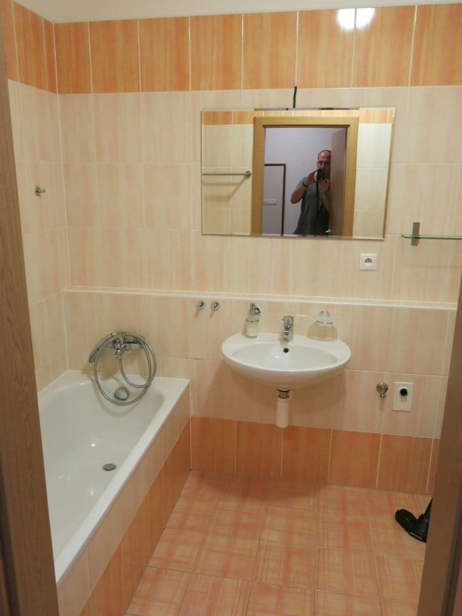 1 bedroom with open-plan kitchen flat to rent, 52 m², Václava Trojana, Prague, Prague 1 bedroom with open-plan kitchen flat to rent, 52 m², Václava Trojana, Prague, Prague