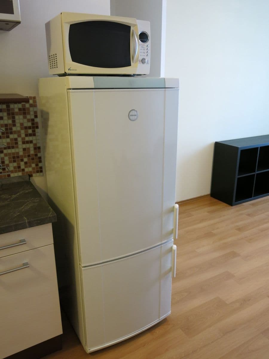 1 bedroom with open-plan kitchen flat to rent, 52 m², Václava Trojana, Prague, Prague 1 bedroom with open-plan kitchen flat to rent, 52 m², Václava Trojana, Prague, Prague