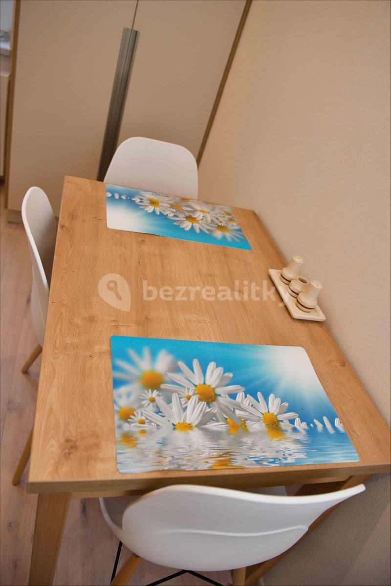 1 bedroom flat to rent, 26 m², Kanadská, Olomouc, Olomoucký Region 1 bedroom flat to rent, 26 m², Kanadská, Olomouc, Olomoucký Region