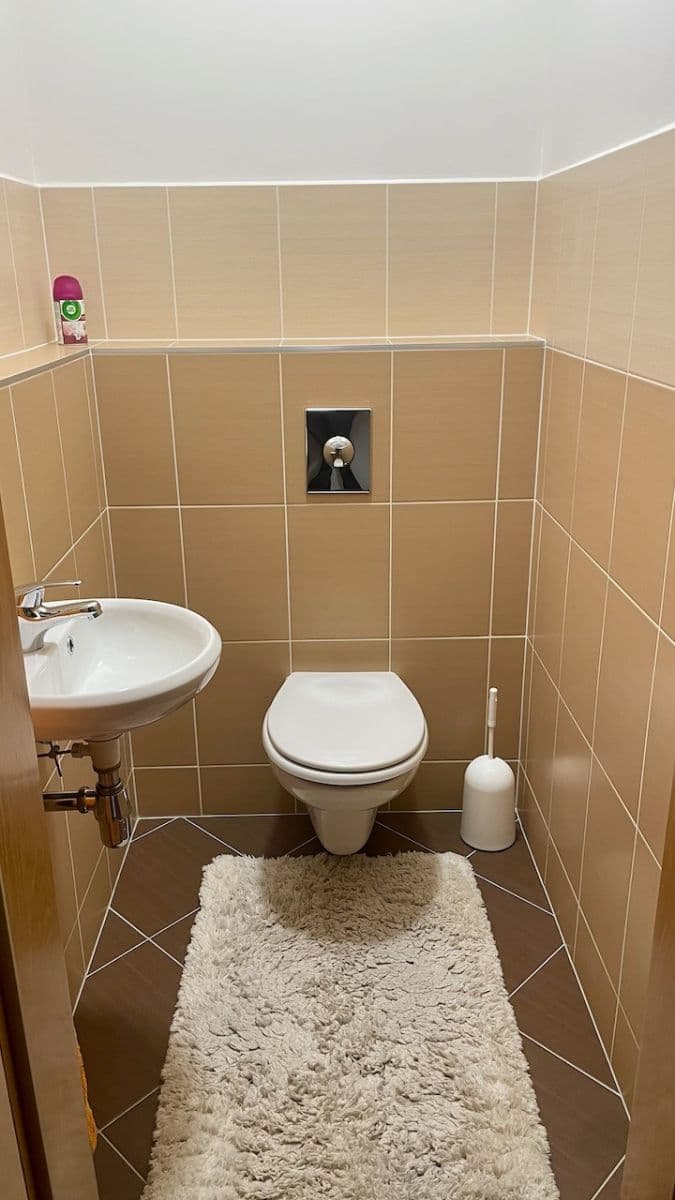 1 bedroom with open-plan kitchen flat to rent, 58 m², Nad Smetankou, Prague, Prague 1 bedroom with open-plan kitchen flat to rent, 58 m², Nad Smetankou, Prague, Prague