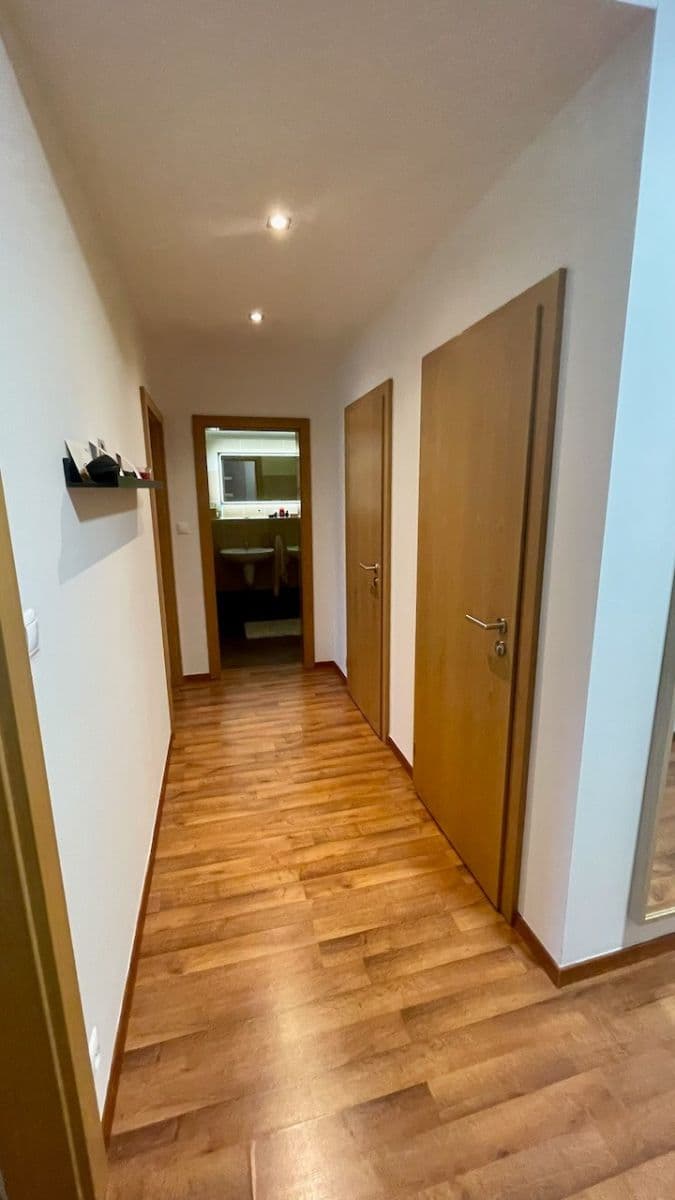 1 bedroom with open-plan kitchen flat to rent, 58 m², Nad Smetankou, Prague, Prague 1 bedroom with open-plan kitchen flat to rent, 58 m², Nad Smetankou, Prague, Prague