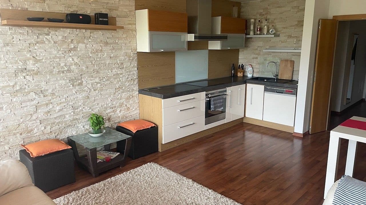 1 bedroom with open-plan kitchen flat to rent, 58 m², Nad Smetankou, Prague, Prague 1 bedroom with open-plan kitchen flat to rent, 58 m², Nad Smetankou, Prague, Prague
