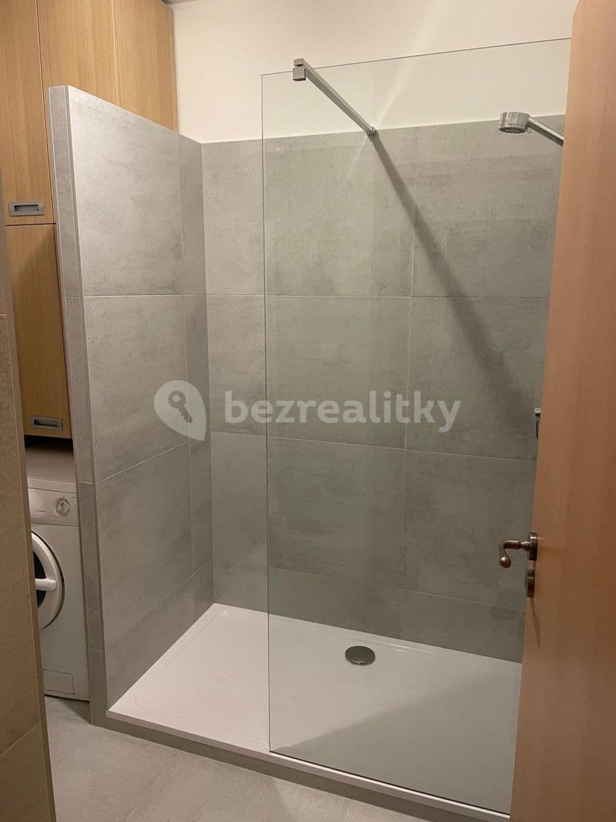 1 bedroom with open-plan kitchen flat to rent, 112 m², Davídkova, Prague, Prague 1 bedroom with open-plan kitchen flat to rent, 112 m², Davídkova, Prague, Prague