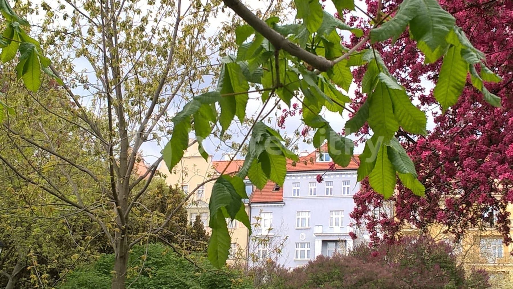 3 bedroom flat to rent, 120 m², U Havlíčkových sadů, Prague, Prague 3 bedroom flat to rent, 120 m², U Havlíčkových sadů, Prague, Prague