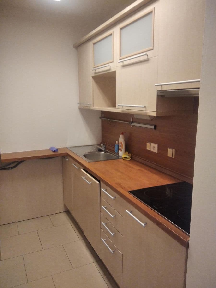 1 bedroom with open-plan kitchen flat to rent, 40 m², Hackerova, Prague, Prague 1 bedroom with open-plan kitchen flat to rent, 40 m², Hackerova, Prague, Prague