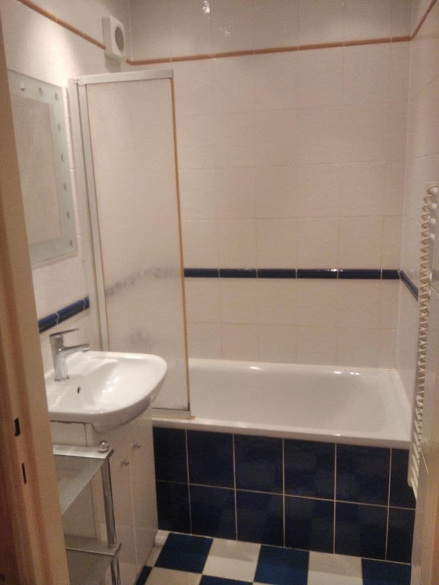 1 bedroom with open-plan kitchen flat to rent, 40 m², Hackerova, Prague, Prague 1 bedroom with open-plan kitchen flat to rent, 40 m², Hackerova, Prague, Prague