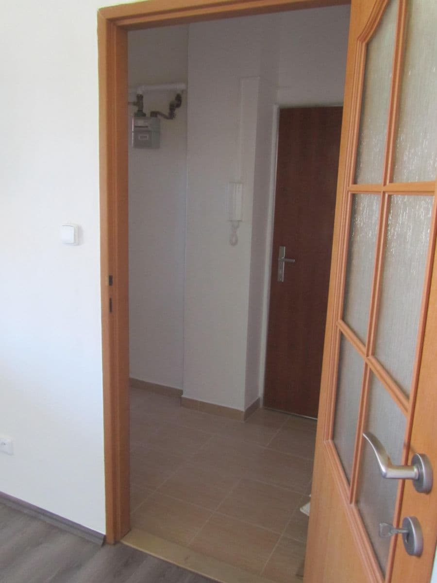 1 bedroom with open-plan kitchen flat to rent, 42 m², U Nových domů III, Prague, Prague 1 bedroom with open-plan kitchen flat to rent, 42 m², U Nových domů III, Prague, Prague