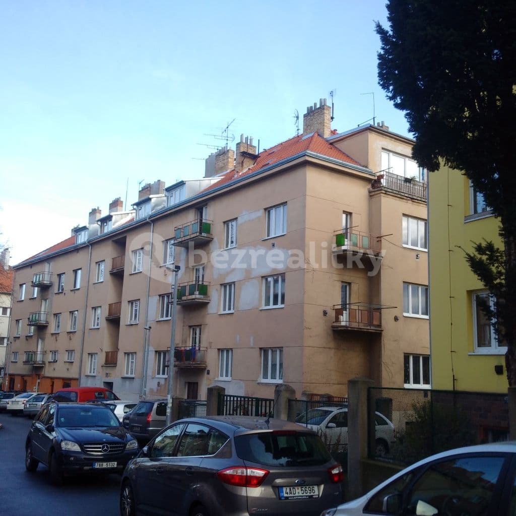 1 bedroom with open-plan kitchen flat to rent, 50 m², Na Nivách, Prague, Prague 1 bedroom with open-plan kitchen flat to rent, 50 m², Na Nivách, Prague, Prague