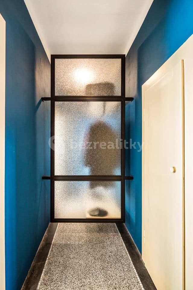 1 bedroom with open-plan kitchen flat to rent, 50 m², Na Nivách, Prague, Prague 1 bedroom with open-plan kitchen flat to rent, 50 m², Na Nivách, Prague, Prague