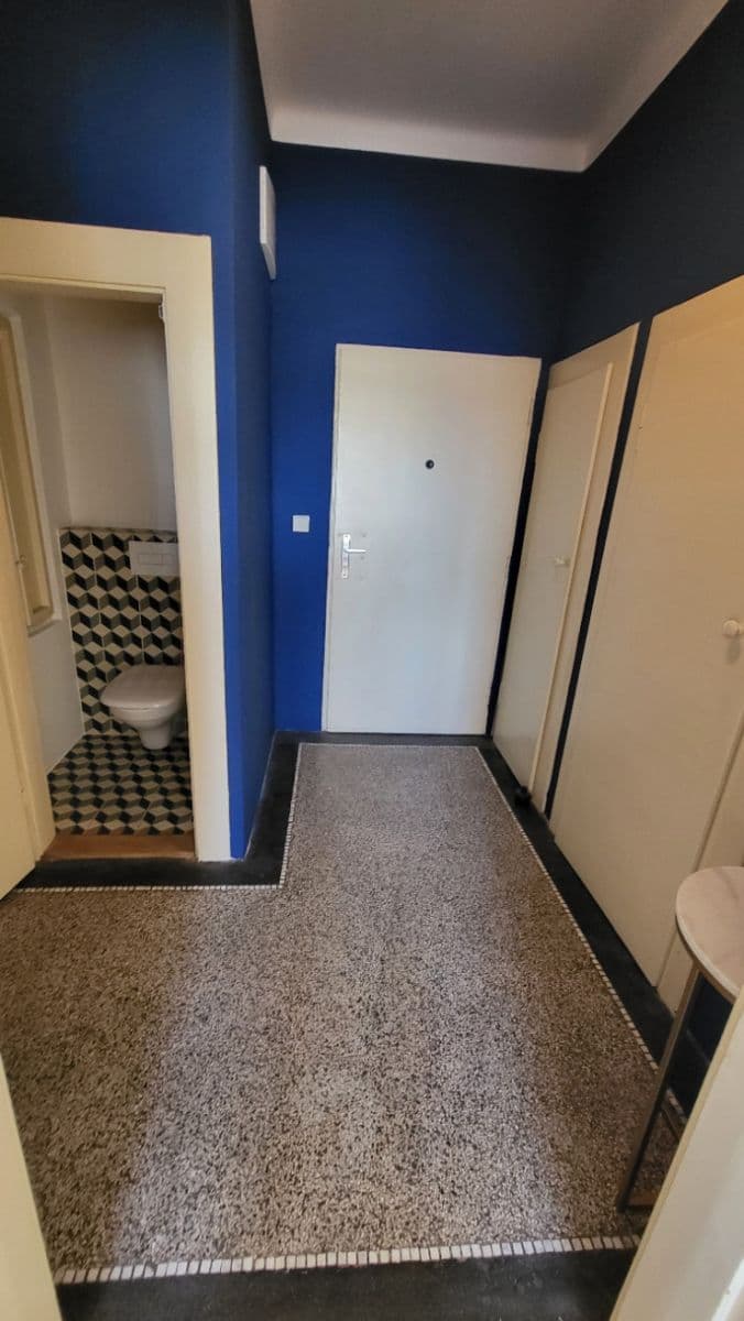 1 bedroom with open-plan kitchen flat to rent, 50 m², Na Nivách, Prague, Prague 1 bedroom with open-plan kitchen flat to rent, 50 m², Na Nivách, Prague, Prague
